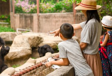 Ido Bileti Al Ido Seferleri Saatleri Ve Bilet Fiyatlari Biletall Com